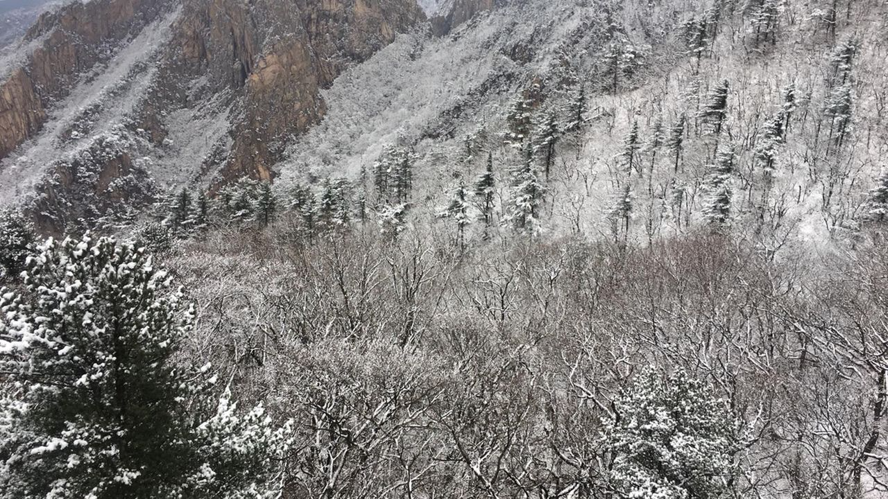韓国地方旅行、韓国国立公園、智異山、周王山、雪岳山、韓国秋、韓国紅葉、五台山、内蔵山