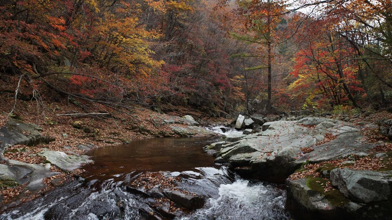 韓国地方旅行、韓国国立公園、智異山、周王山、雪岳山、韓国秋、韓国紅葉、五台山