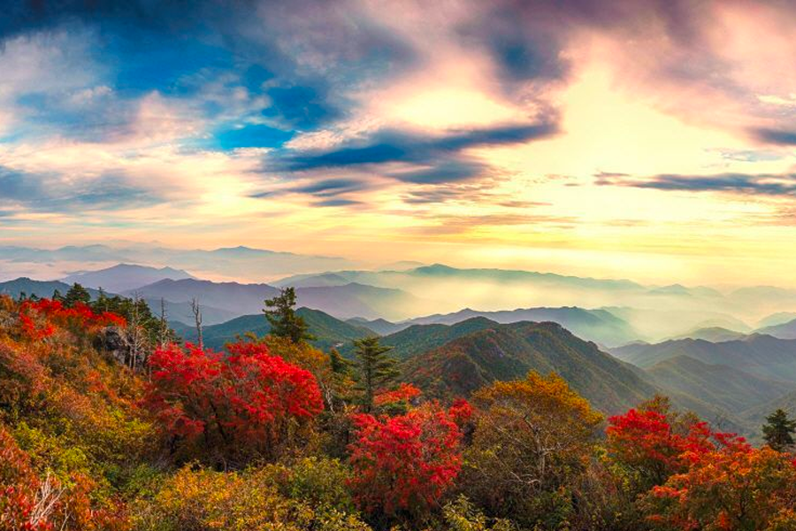 2025年 韓國賞楓推薦 賞楓一日遊 優惠