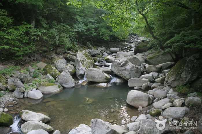 韓国地方旅行、韓国国立公園、智異山、周王山、雪岳山、韓国秋、韓国紅葉、五台山、内蔵山