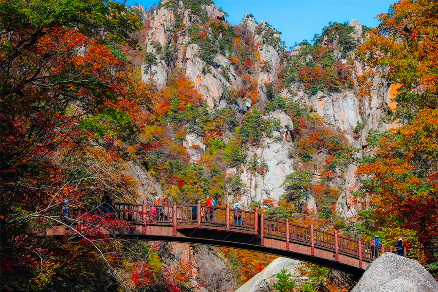 2025年 韓國賞楓推薦 賞楓一日遊 優惠