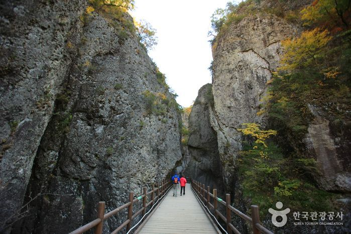 韓国地方旅行、韓国国立公園、智異山、周王山、雪岳山、韓国秋、韓国紅葉、五台山