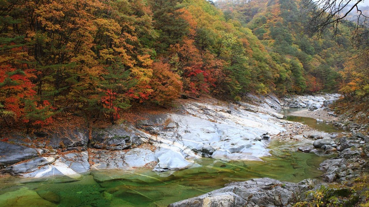 韓国地方旅行、韓国国立公園、智異山、周王山、雪岳山、韓国秋、韓国紅葉、五台山、内蔵山
