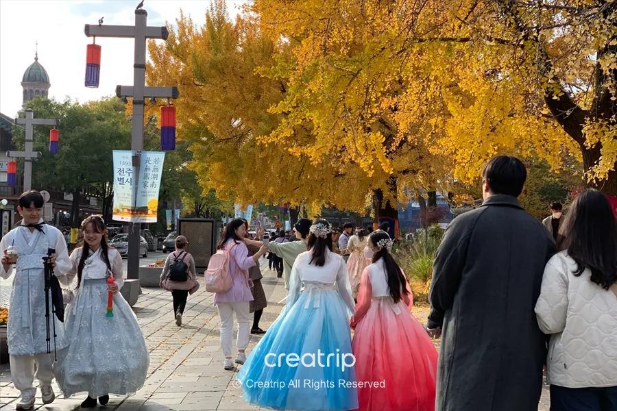 秋季氛围浓厚的全州街道，人物身穿传统韩服，背景中是金色的银杏树，为全州的文化之旅增色不少。