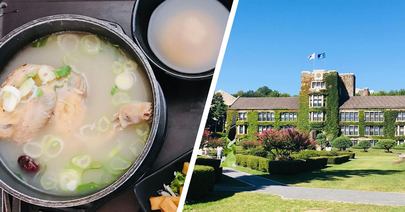 新村延世大学探访