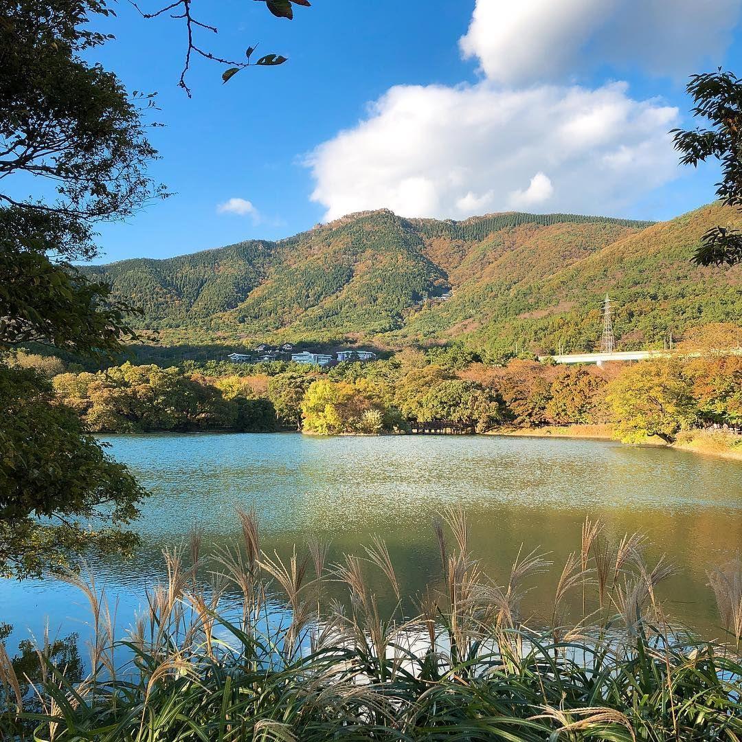 Busan, Jinhae Food Recommendation