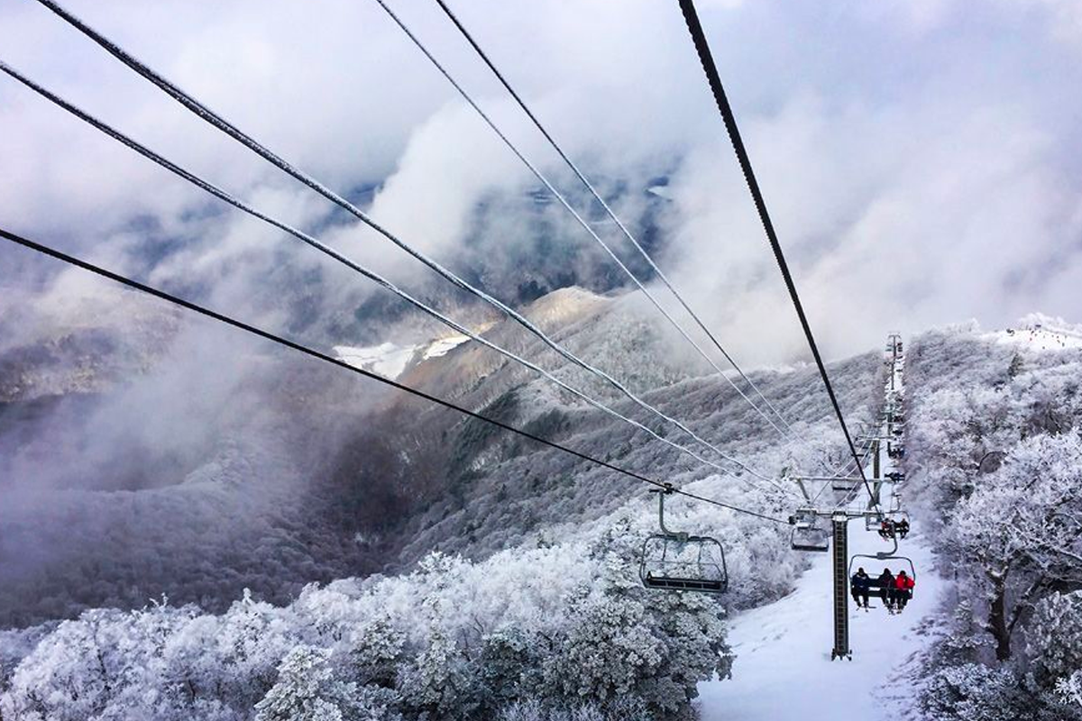 2025 2025 韓國滑雪場 一日遊推薦 韓國滑雪 推薦 一日遊滑雪場 中文教學