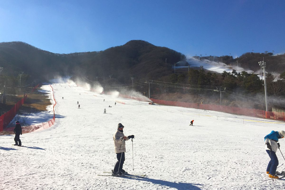 2025 2025 韓國滑雪場 一日遊推薦 韓國滑雪 推薦 一日遊滑雪場 中文教學