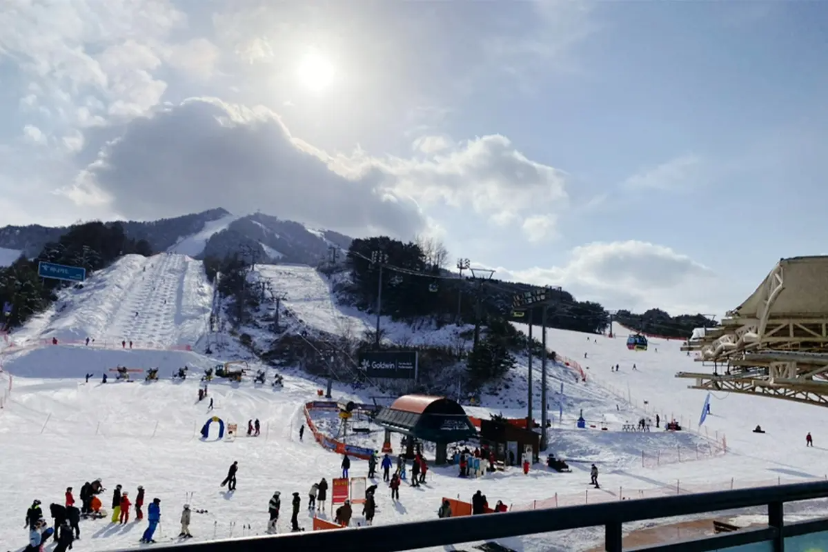 維利希利度假村的空中俯瞰圖，展現了蜿蜒的滑雪坡道以及佈滿白雪的樹林，整個滑雪場被雪覆蓋著。