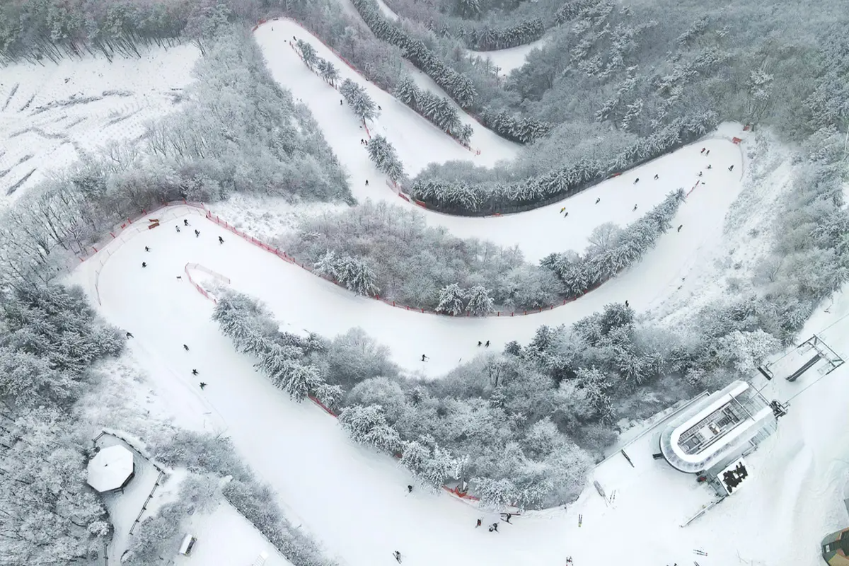 在大雪覆蓋的韓國維利希利度假村的滑雪場，滑雪者自由自在地滑下白雪坡道，背景是青翠的山林。