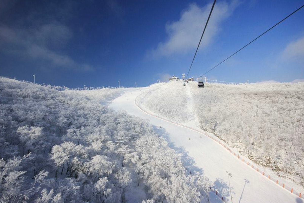 2025 2025 韓國滑雪場 一日遊推薦 韓國滑雪 推薦 一日遊滑雪場 中文教學