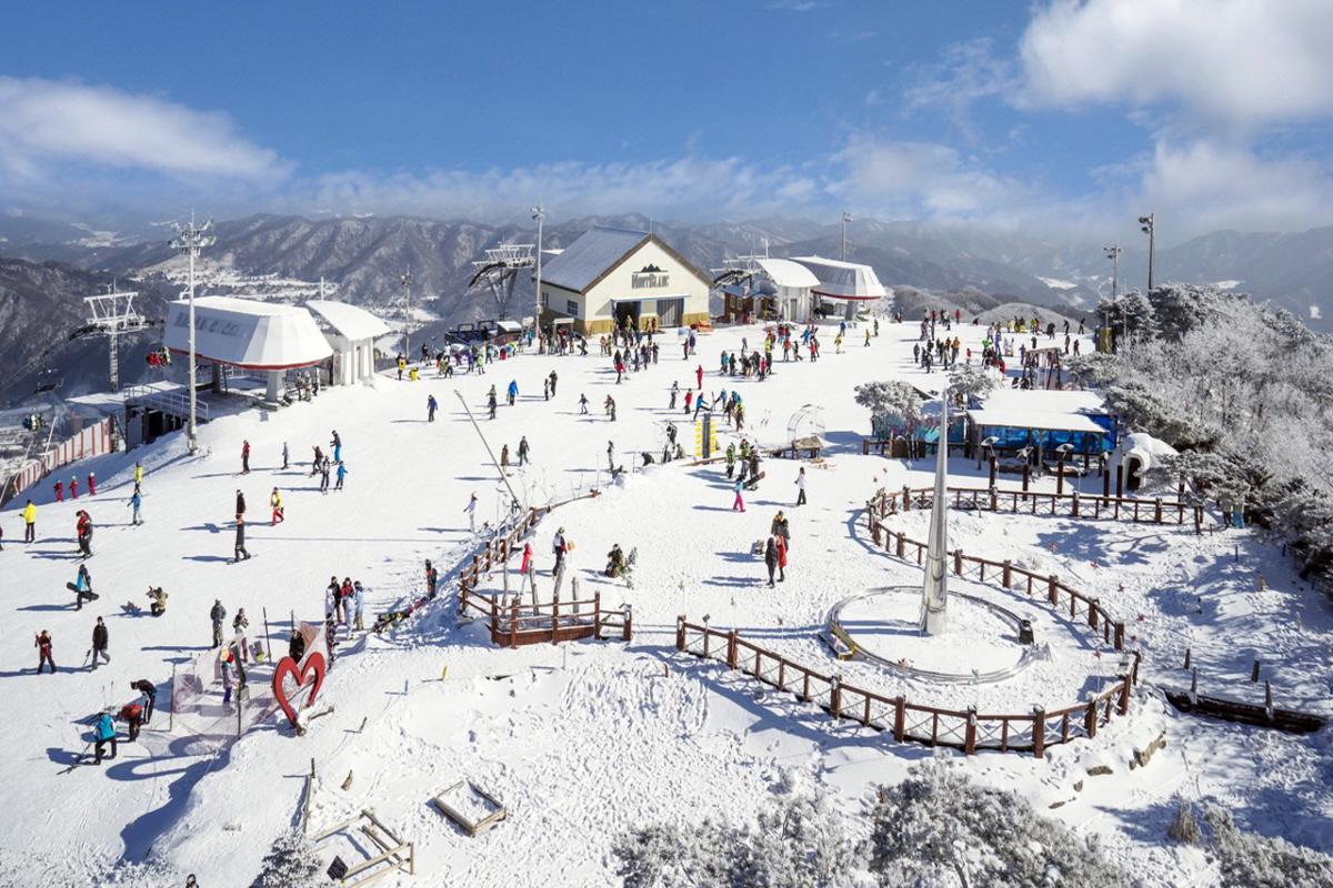 圖片顯示韓國鳳凰島平昌度假村的滑雪場，山上皚皚白雪覆蓋，滑雪者在坡道上享受冬季運動的快感。