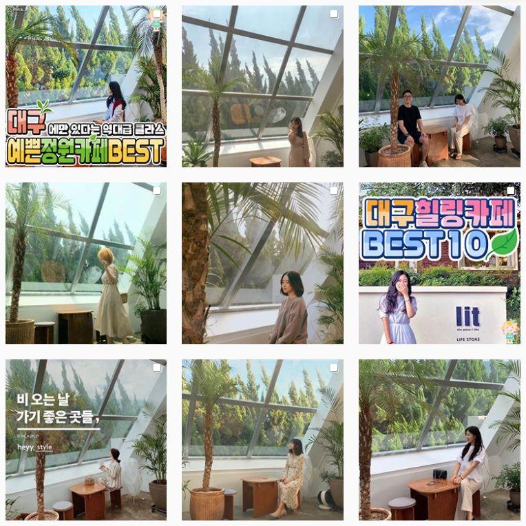 大邱SungDangMotVill咖啡廳，溫室設計吸引顧客停留，更顯舒適與現代感，是社交媒體上的熱門景點。