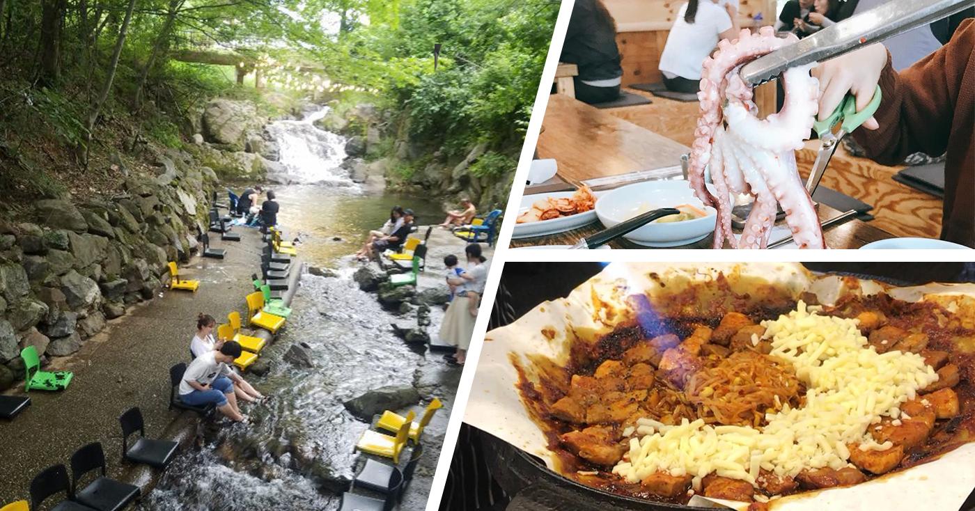 京畿道：楊州、南楊州