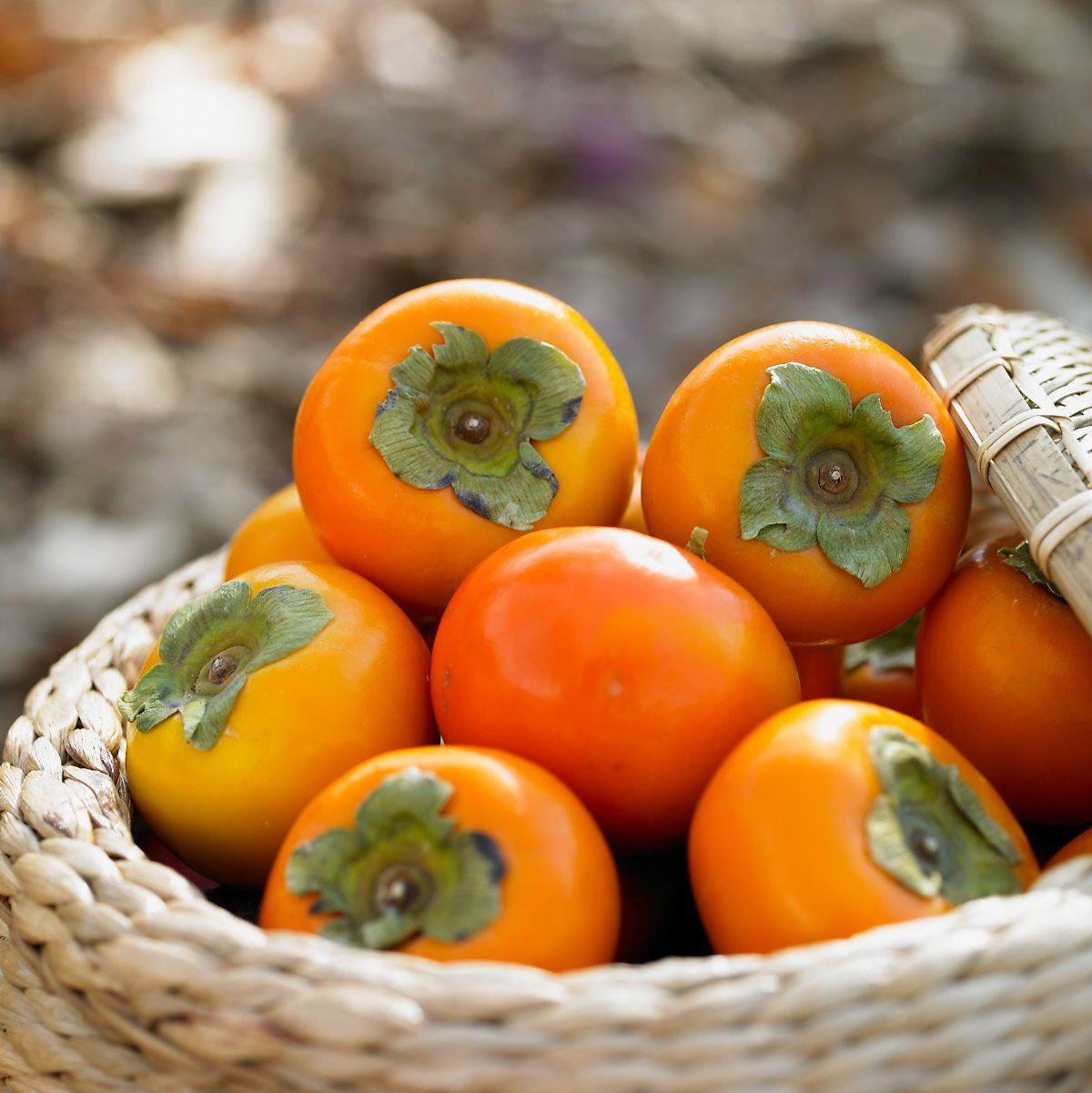 韓国、韓国文化、韓国果物、韓国旅行