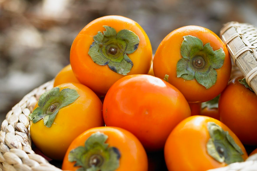 韩国秋季落叶满地的柿子：甜软的红柿和传统干制柿饼，秋季健康维他命。