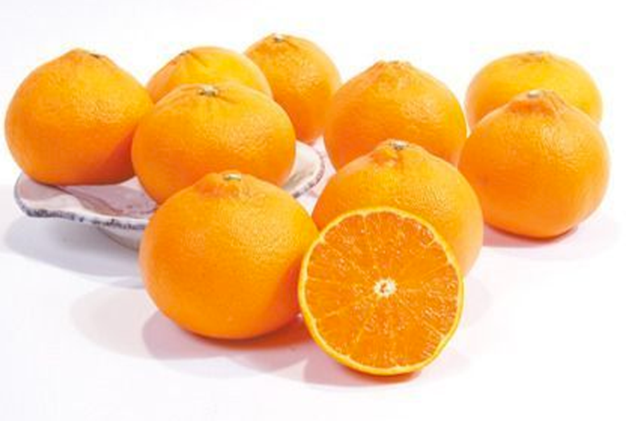 济州岛名产橘子：手感很好且容易剥皮，享受韩国冬季的美味橘子。
