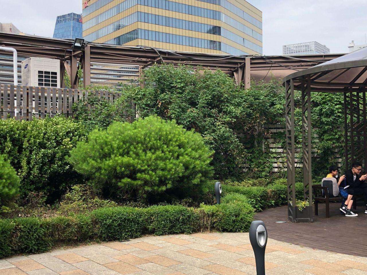 【Myeongdong Shopping】Summer clothing is on the market! Myeongdong Young Plaza visit