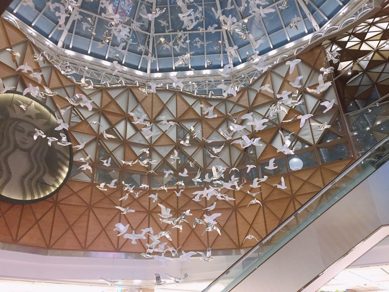 韩国首尔高速巴士站星巴克店内装饰，顶部悬挂着许多白色鸟的雕塑，设计别具一格，展现了独特的空间魅力。