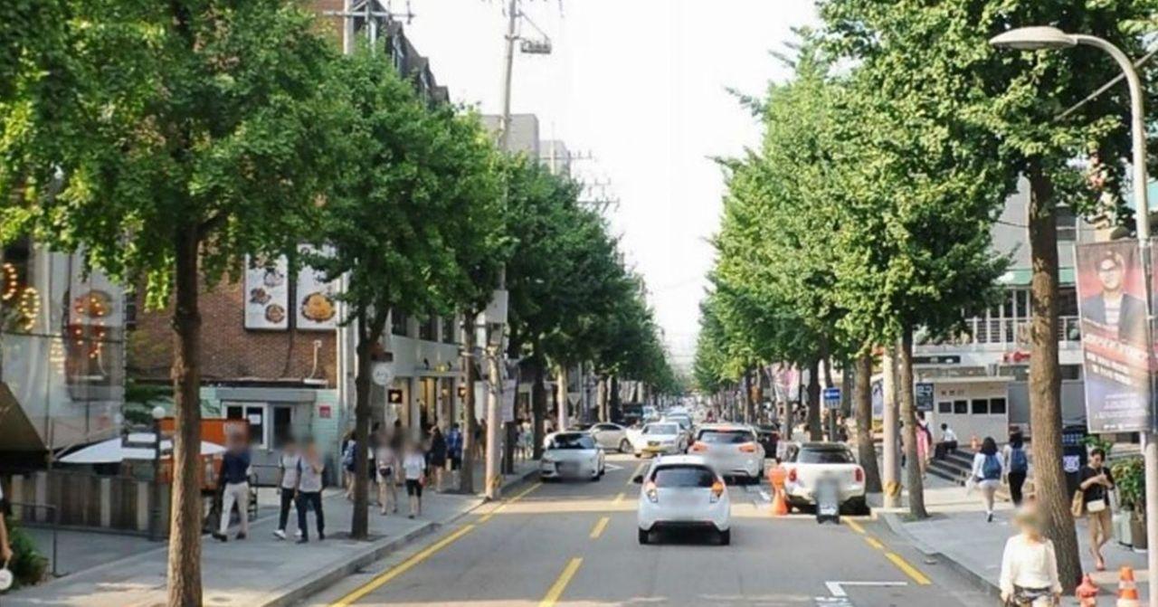 绿荫成行的新沙洞商业街景，树木与建筑交相辉映，街道景观宜人，繁忙而充满生机。