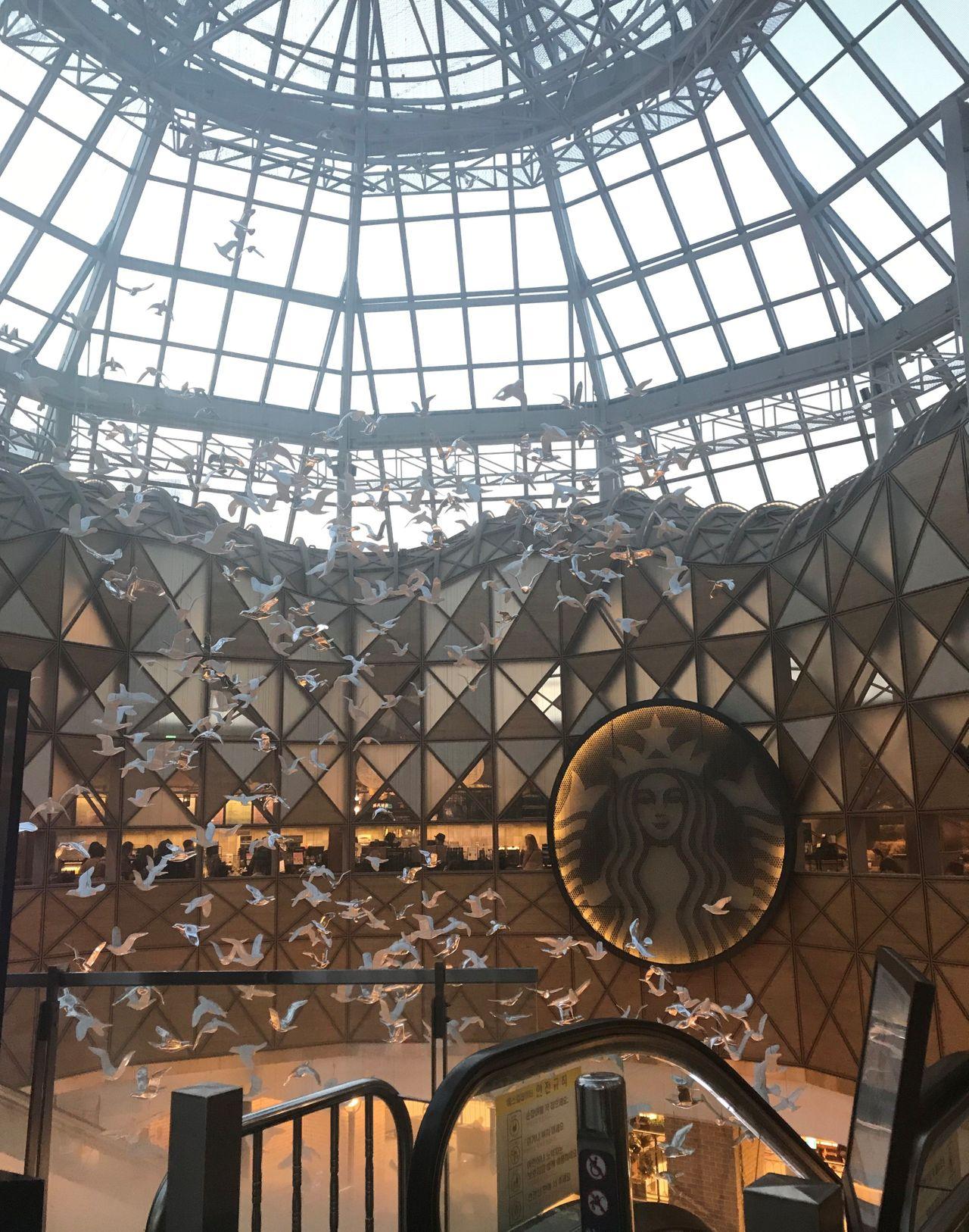 首尔高速巴士站星巴克玻璃天顶店内环境，特色艺术装饰，与星巴克标志相搭配，呈现出典雅的视觉效果。