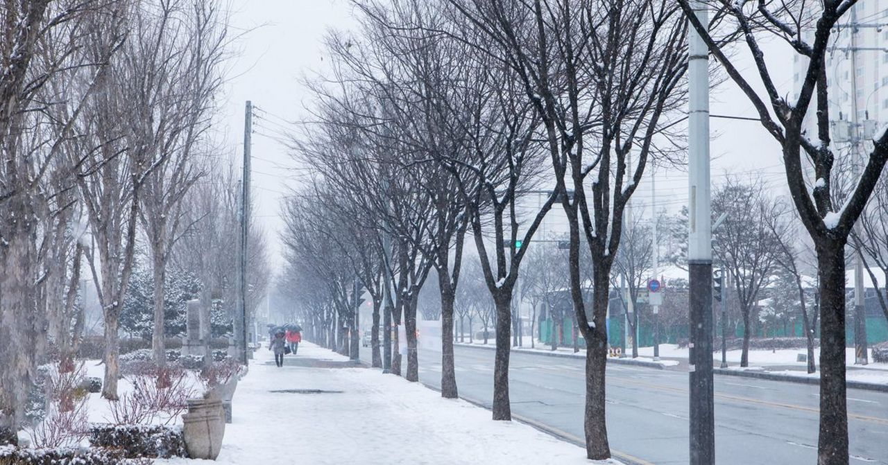 2019年韩国初雪景象，白雪覆盖的街道和步行的人们。