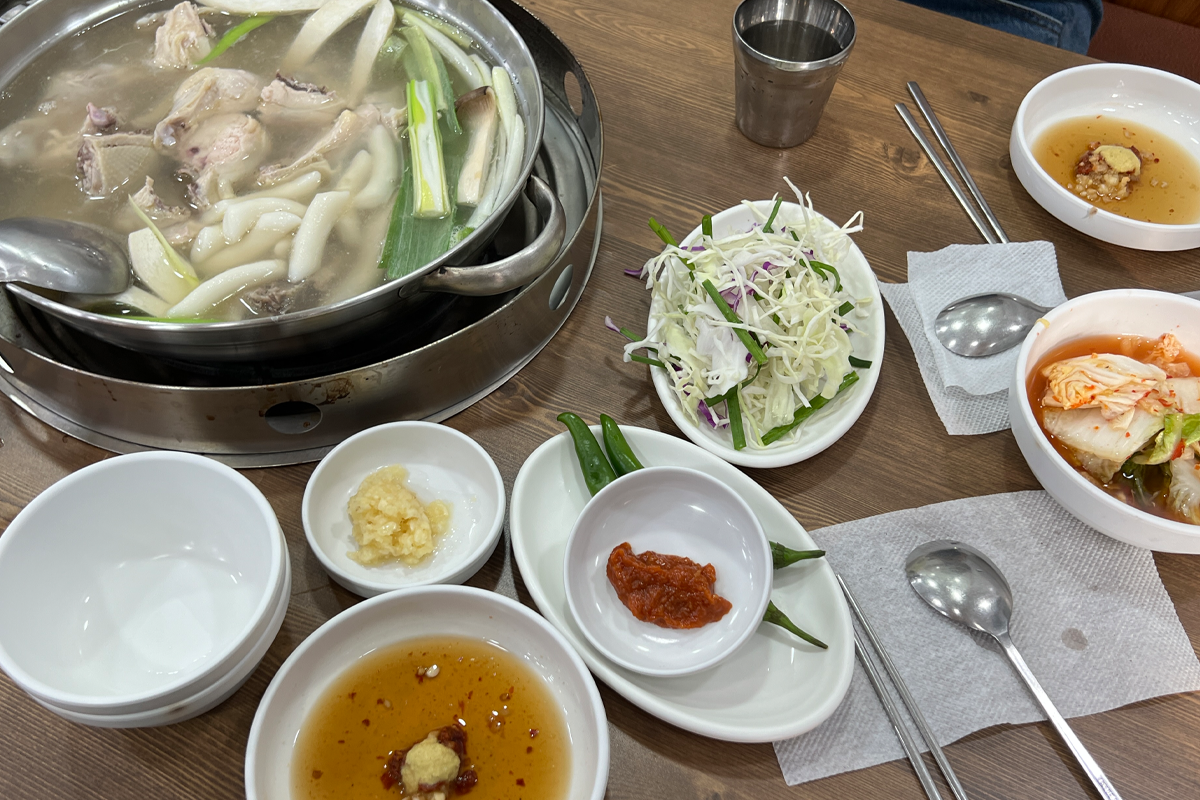 梨大 孔陵一隻雞