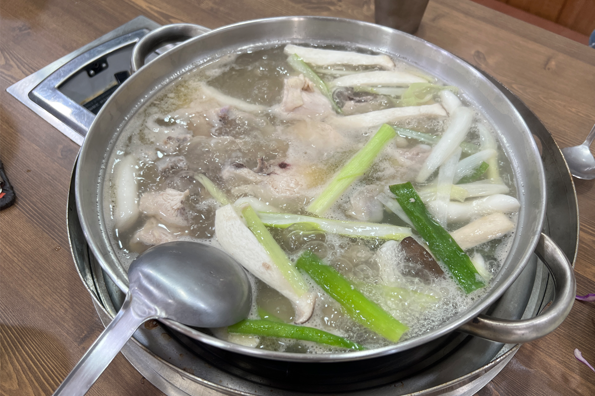 梨大 孔陵一隻雞