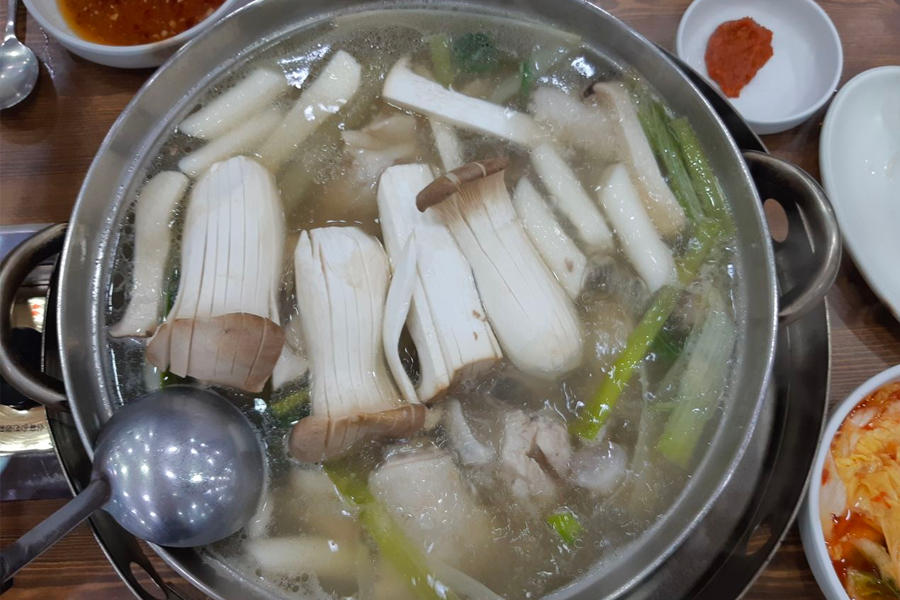 梨大 孔陵一隻雞