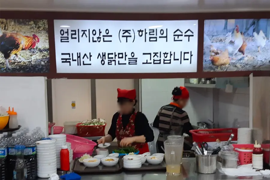 梨大 孔陵一隻雞