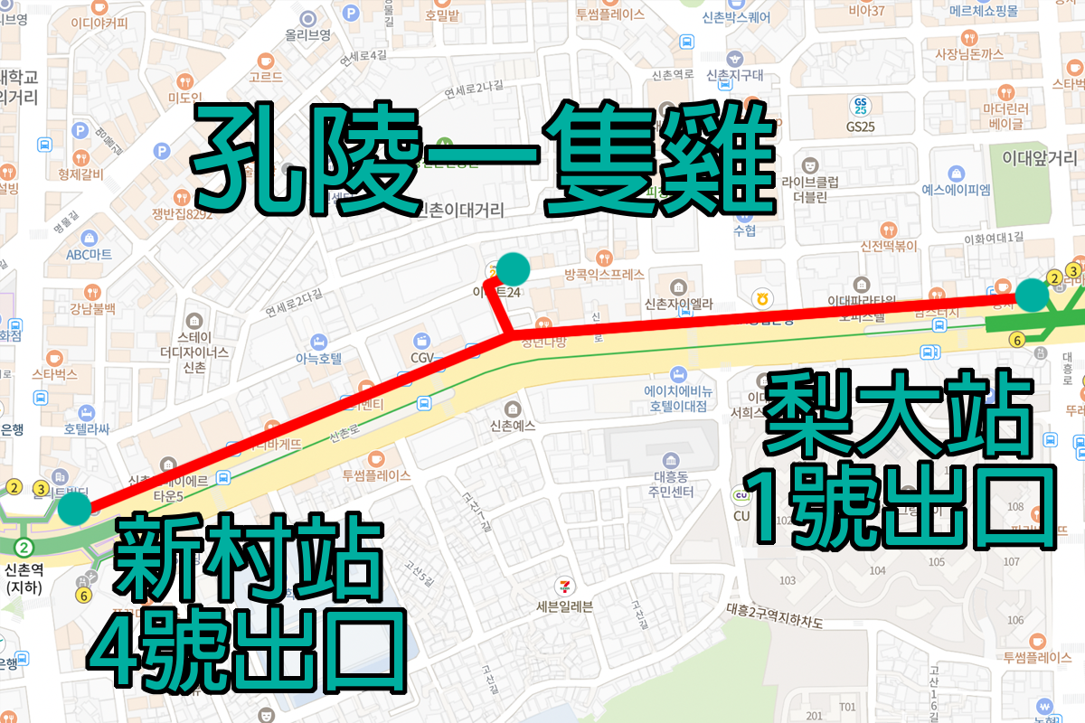 梨大 孔陵一隻雞