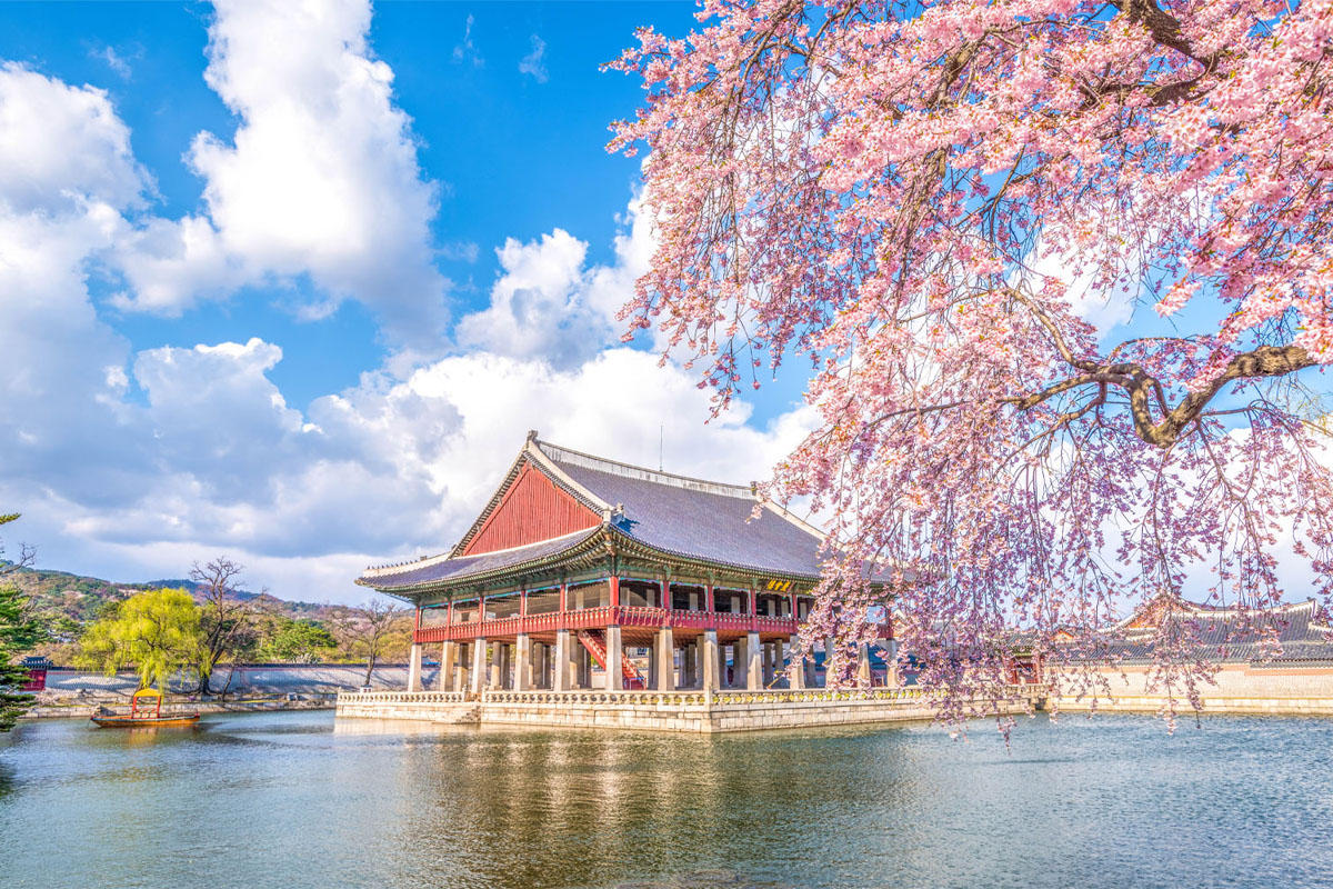 韓国、韓国旅行、韓国観光、ソウル、ソウル旅行、韓国ホテル、韓国宿泊、高級ホテル、ゲストハウス