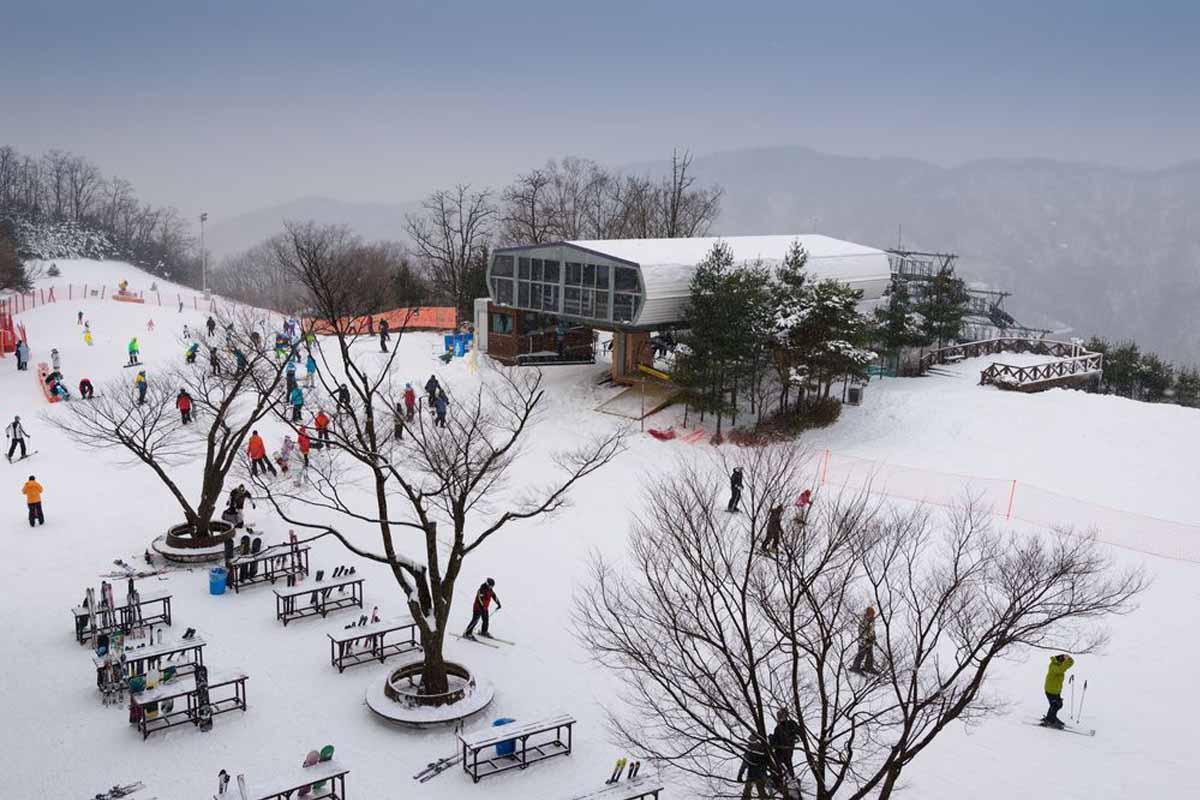 Winter Activities In Korea: ski resort