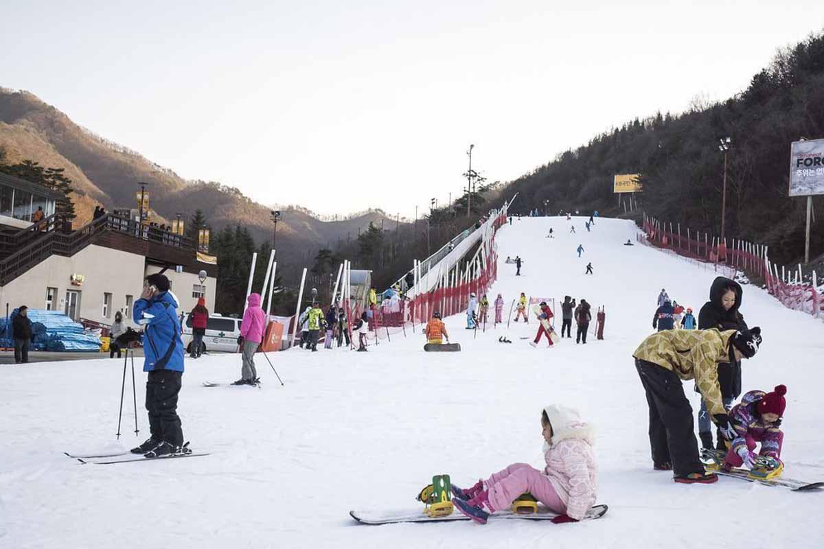 Winter Activities In Korea: skiing & snowboarding
