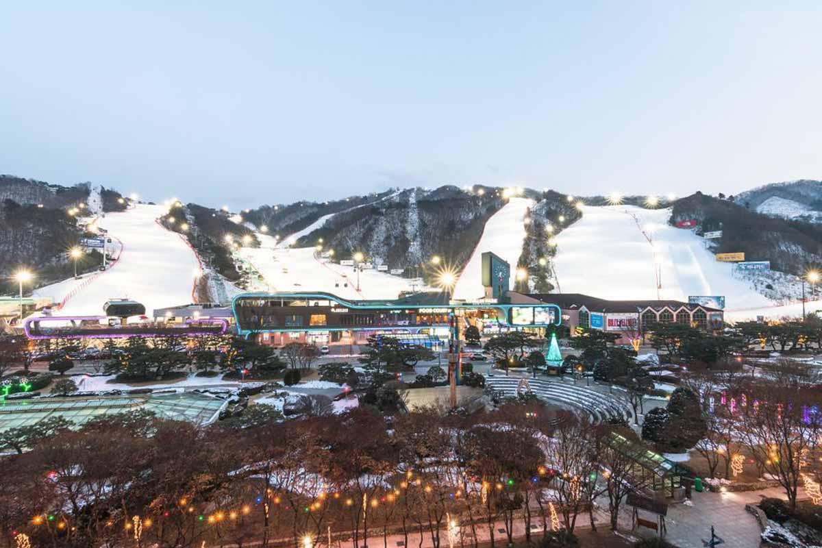 Winter Activities In Korea: ski resort Vivaldi Park