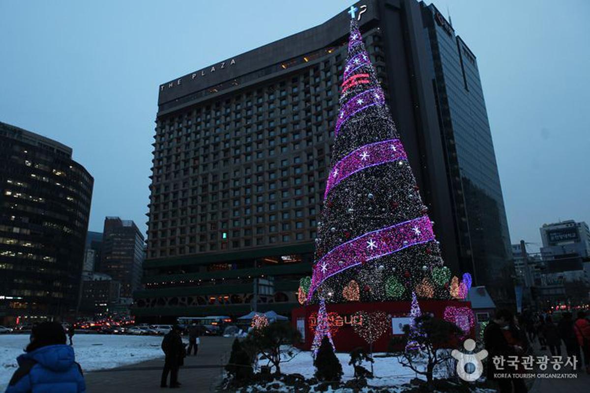 Winter Activities In Korea: Skating rink