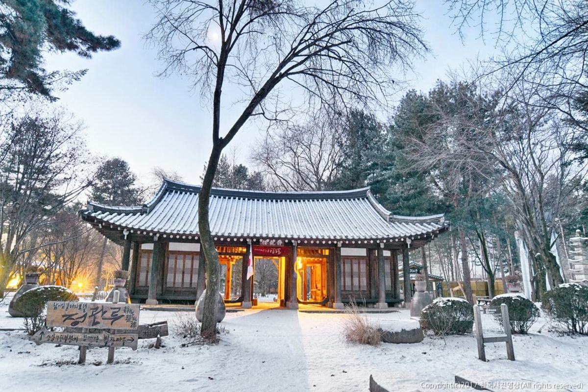 南怡島、晨靜樹木園一日遊