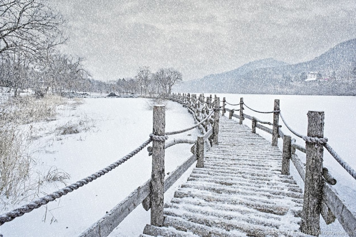 南怡島、晨靜樹木園一日遊