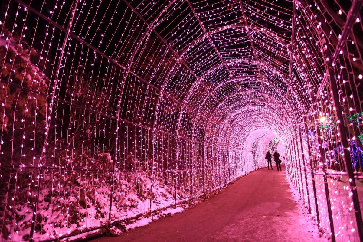 あ南怡島 アチムゴヨ樹木園 韓国旅行 ナミソム 春あ