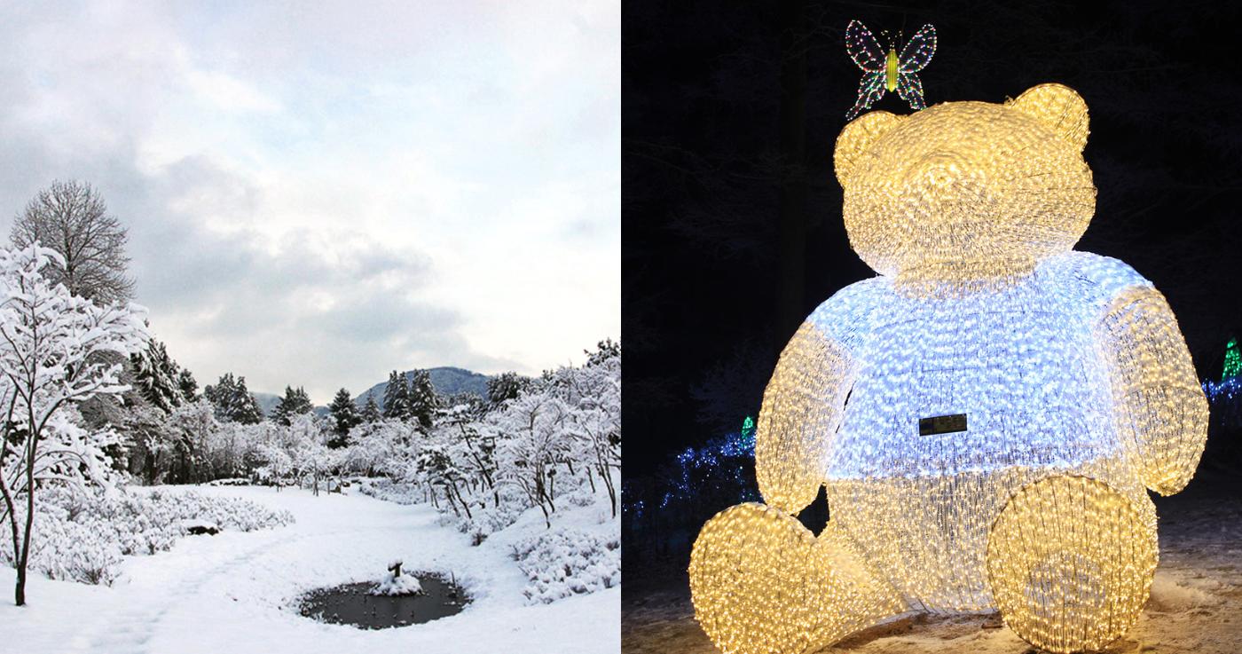 วันเดย์ทริปที่เกาะนามิ & สวน Garden of Morning Calm