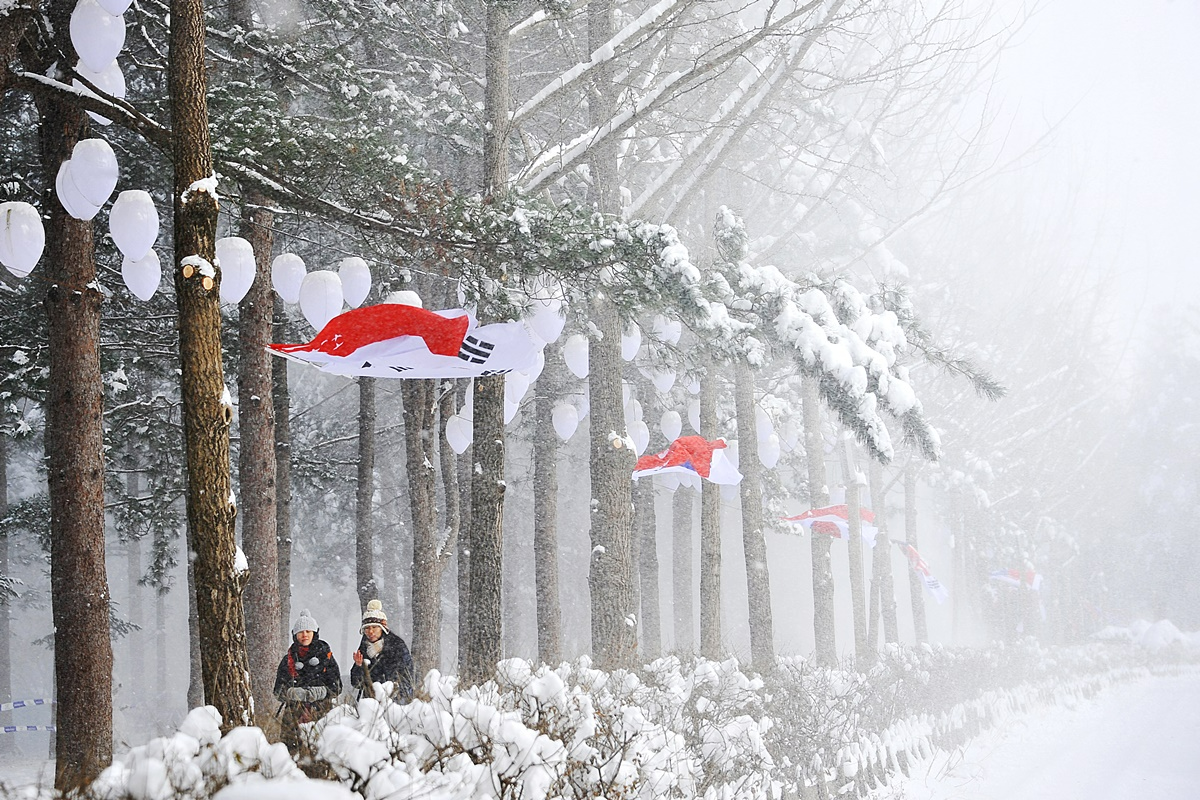南怡島 アチムゴヨ樹木園 韓国旅行 ナミソム 春川