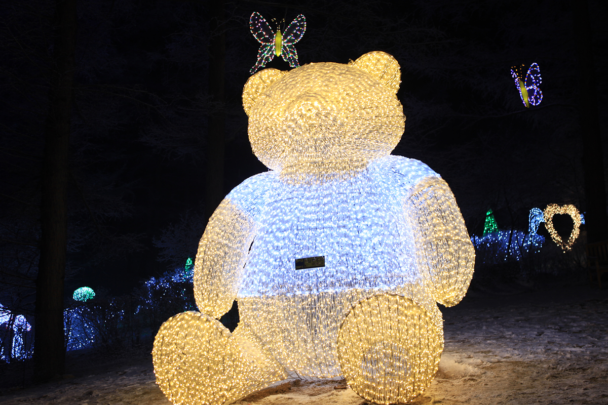 晨靜樹木園一日遊