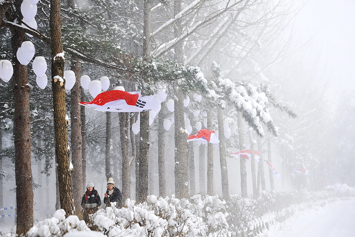 เทศกาลต้นไม้ของเกาะนามิแห่งเกาหลีในฤดูหนาว กับธงชาติของหลายประเทศตกแต่งต้นไม้