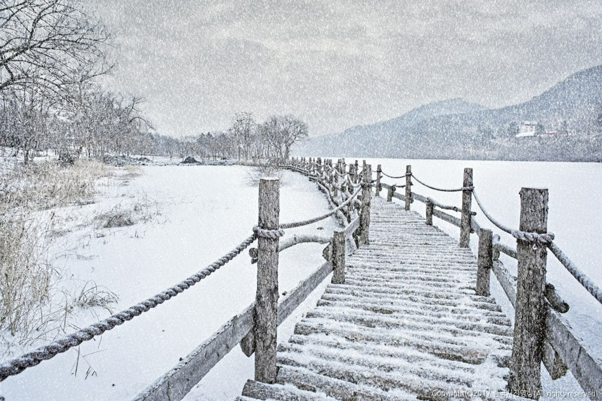 南怡島 アチムゴヨ樹木園 韓国旅行 ナミソム 春川