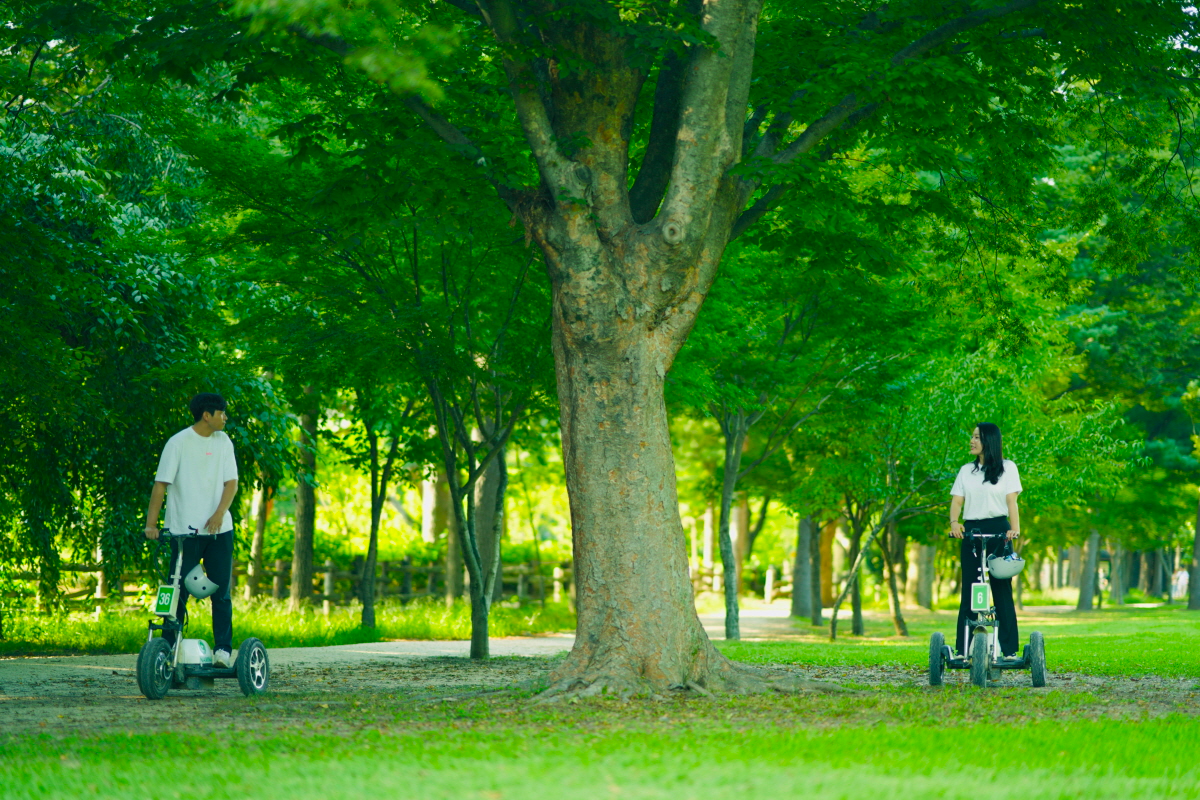 cây xanh ở Đảo Nami, Làng Pháp Petite France