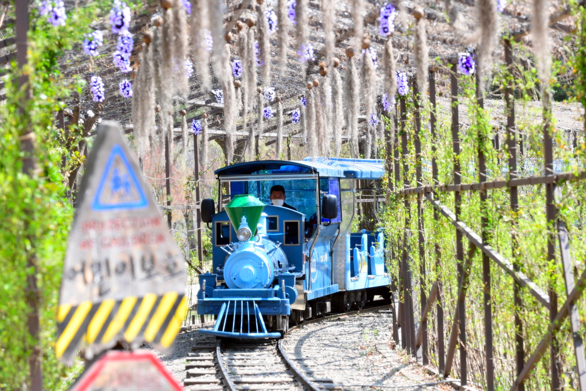 Tàu du lịch màu xanh trên đường ray đảo Nami, Hàn Quốc.