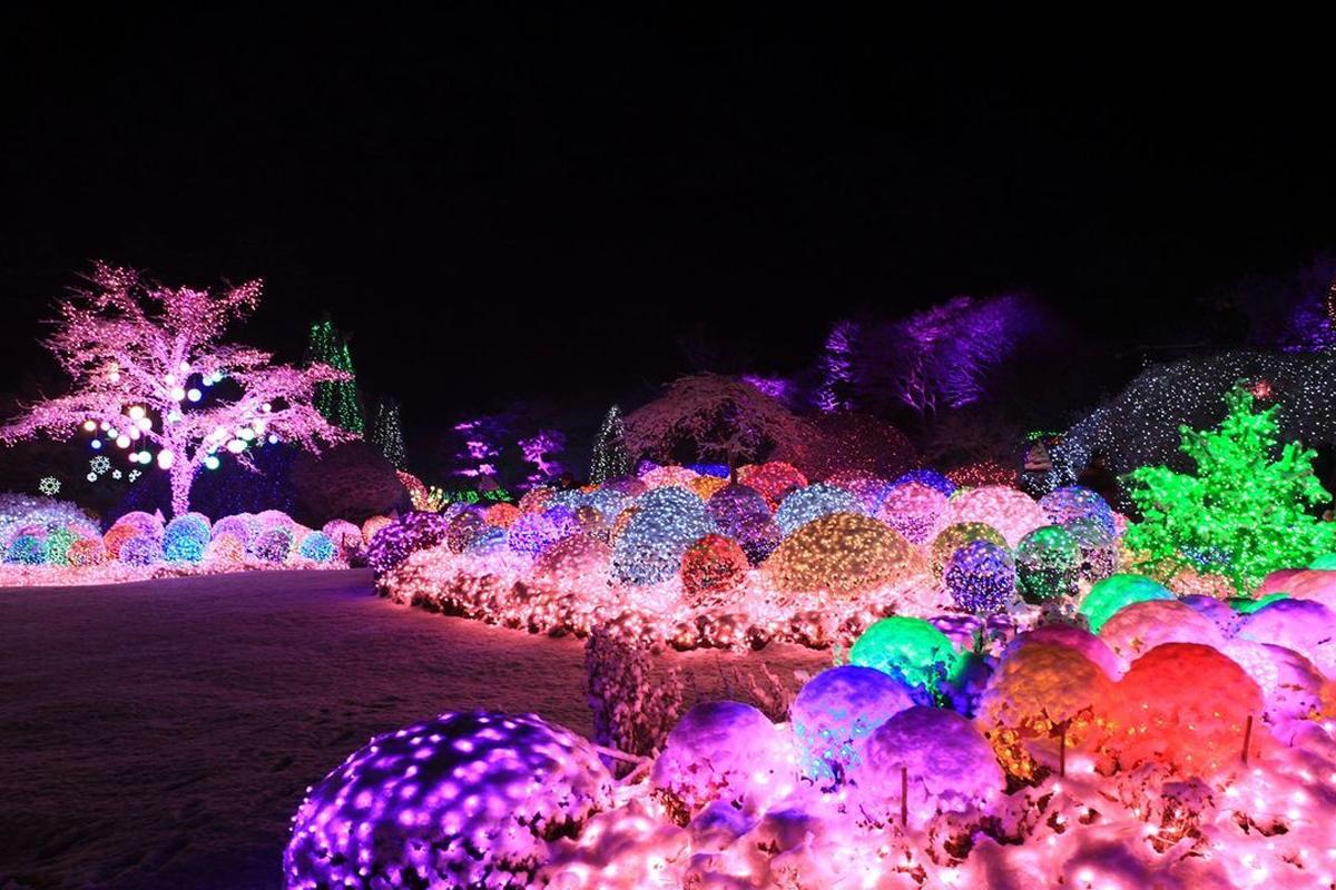 南怡島、小法國村、晨靜樹木園一日遊，一次過去足3個地方，保證大家一定滿意！