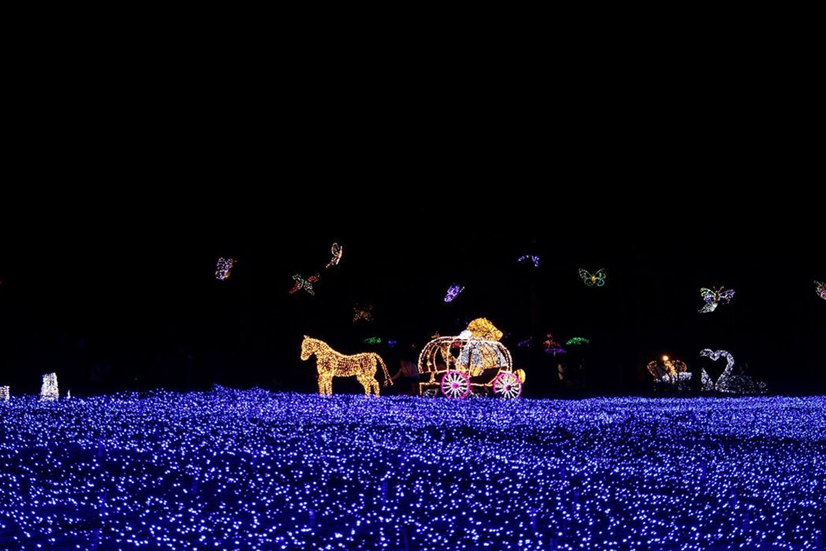 南怡島、小法國村、晨靜樹木園一日遊，一次過去足3個地方，保證大家一定滿意！