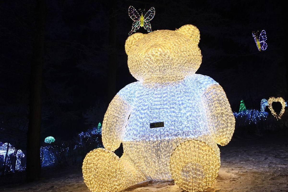 南怡島、小法國村、晨靜樹木園一日遊，一次過去足3個地方，保證大家一定滿意！