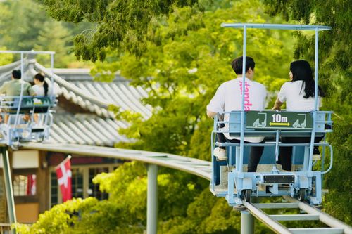 Creatrip 1日旅行 南怡島 ナミソム プチフランス アチムコヨ樹木園